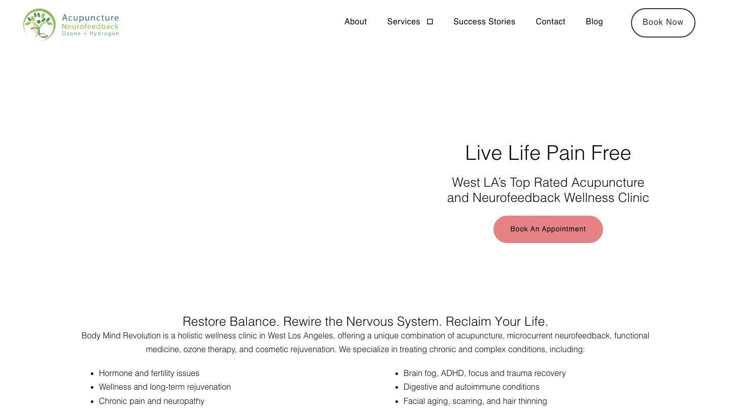 Acupuncture + Neurofeedback + Ozone & Hydrogen at Body Mind Revolution