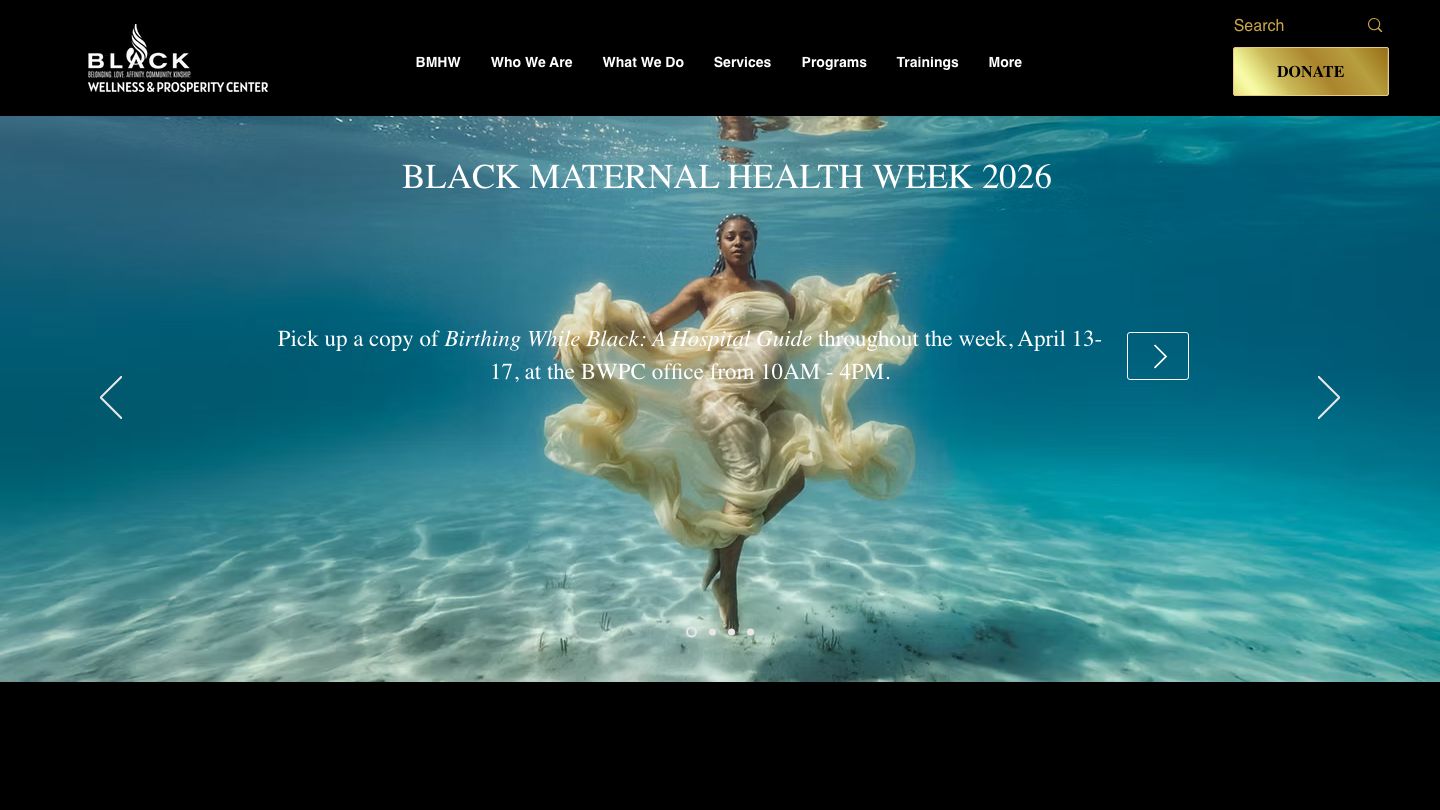 BLACK Wellness & Prosperity Center