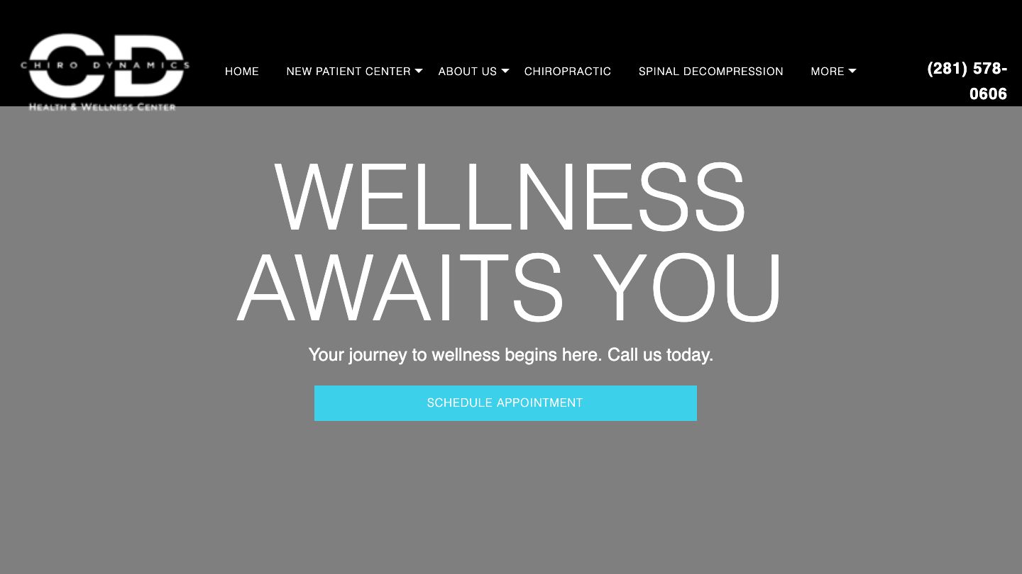 Chiro Dynamics - I-10