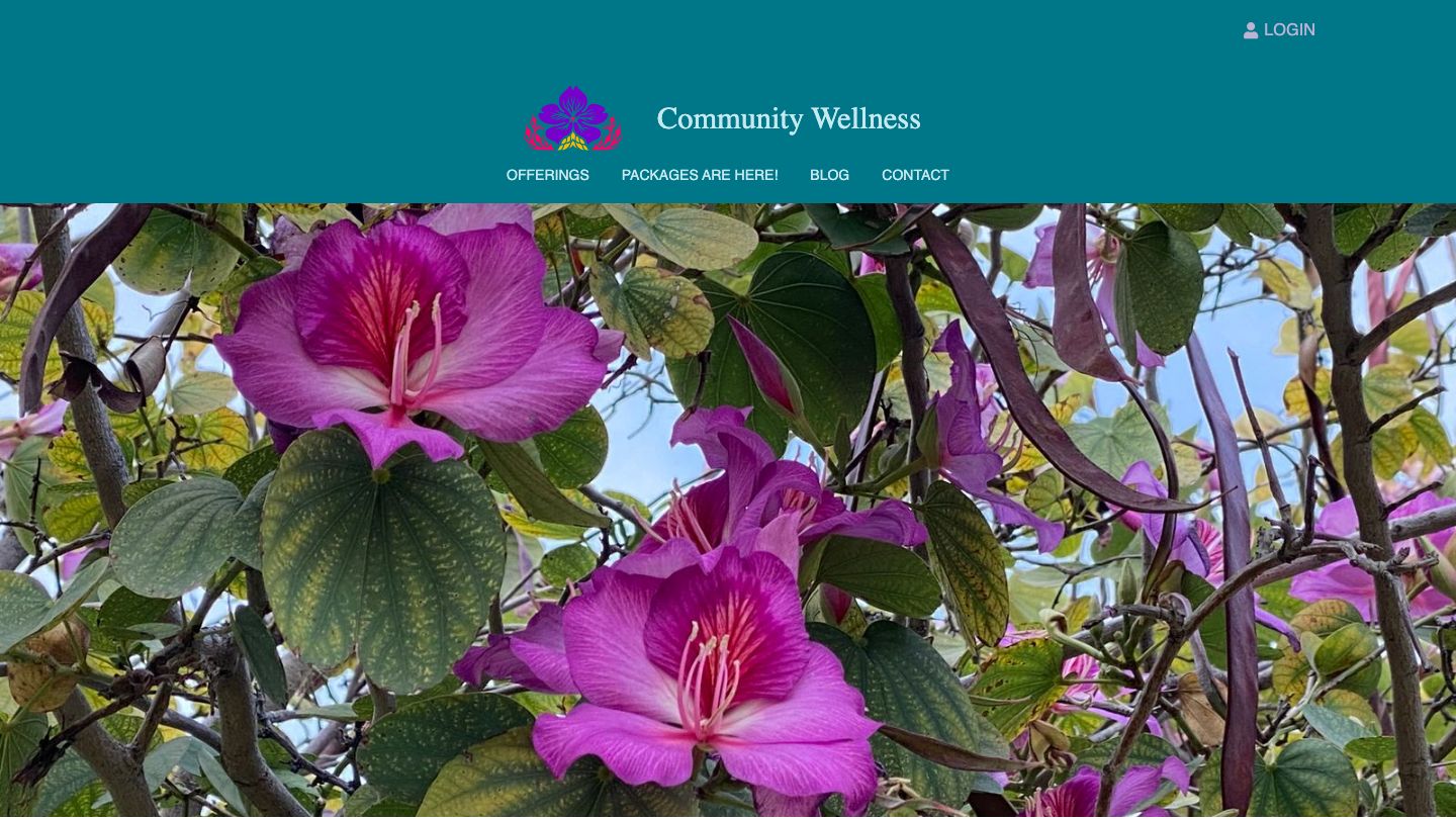 Community Wellness CranioSacral Therapy + Somatics (part of Odigo Wellness)