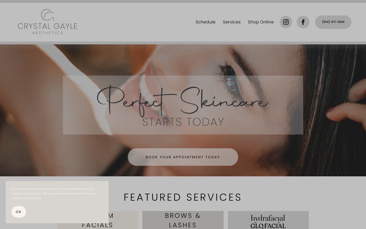 Crystal Gayle Aesthetics