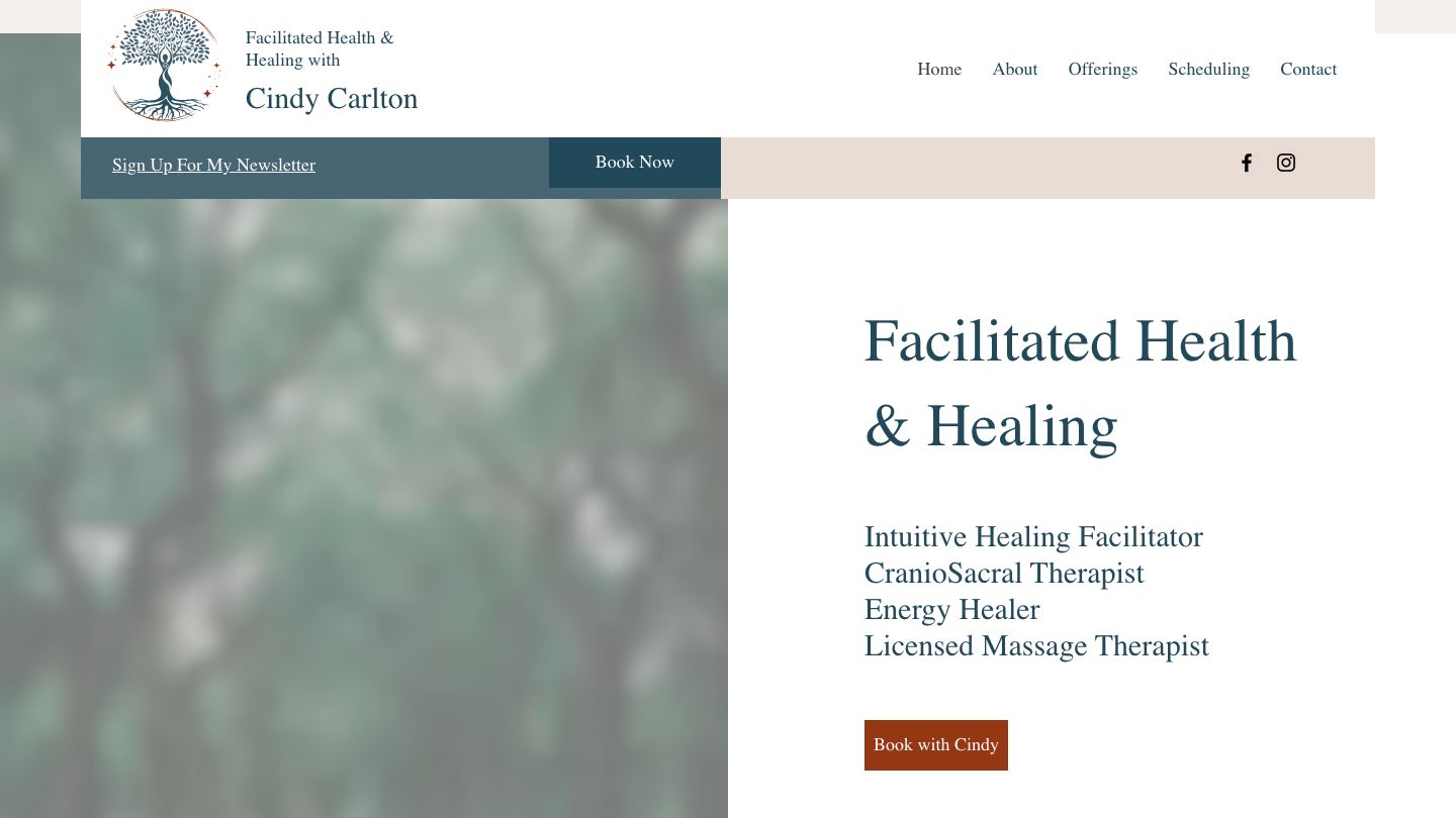 Facilitated Health & Healing