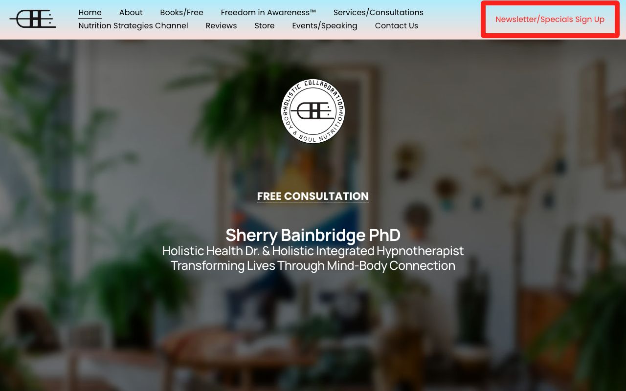 Holistic Collaboration