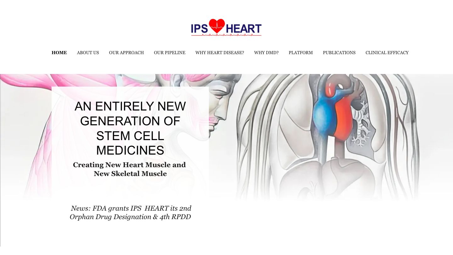 IPS HEART