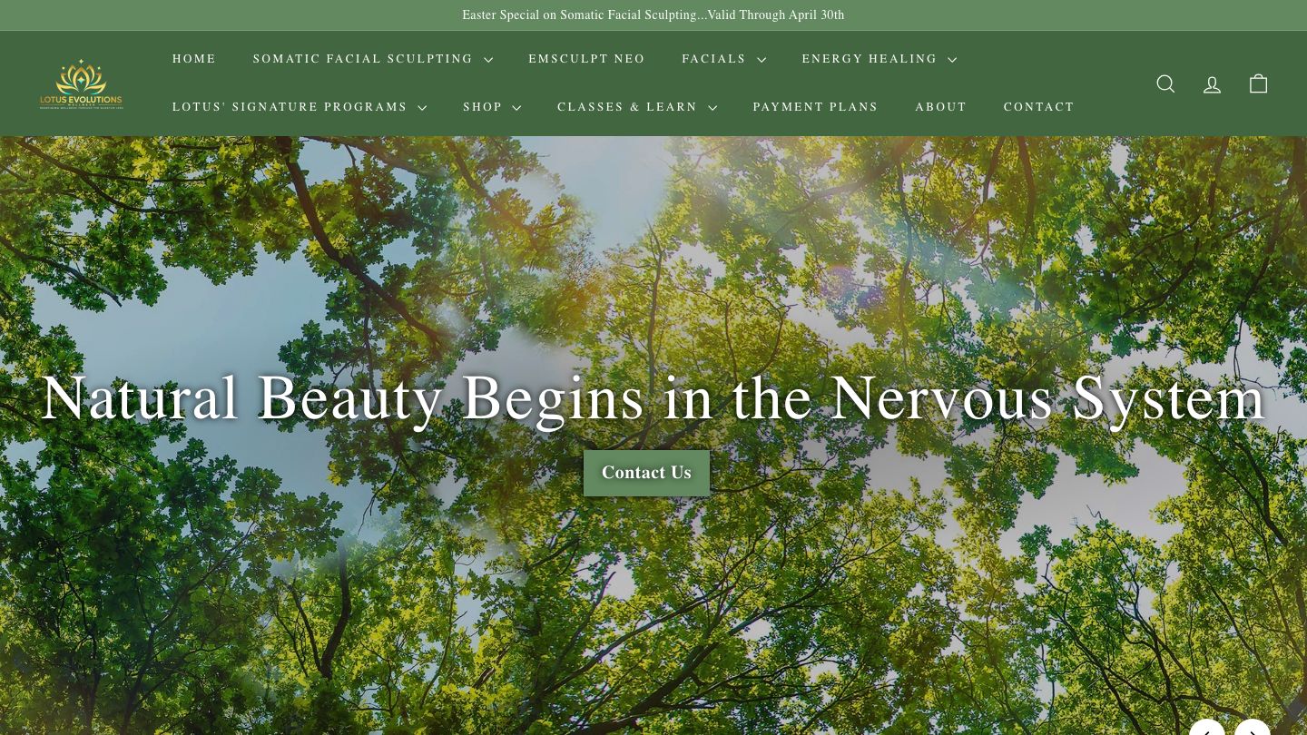 Lotus Evolutions Wellness