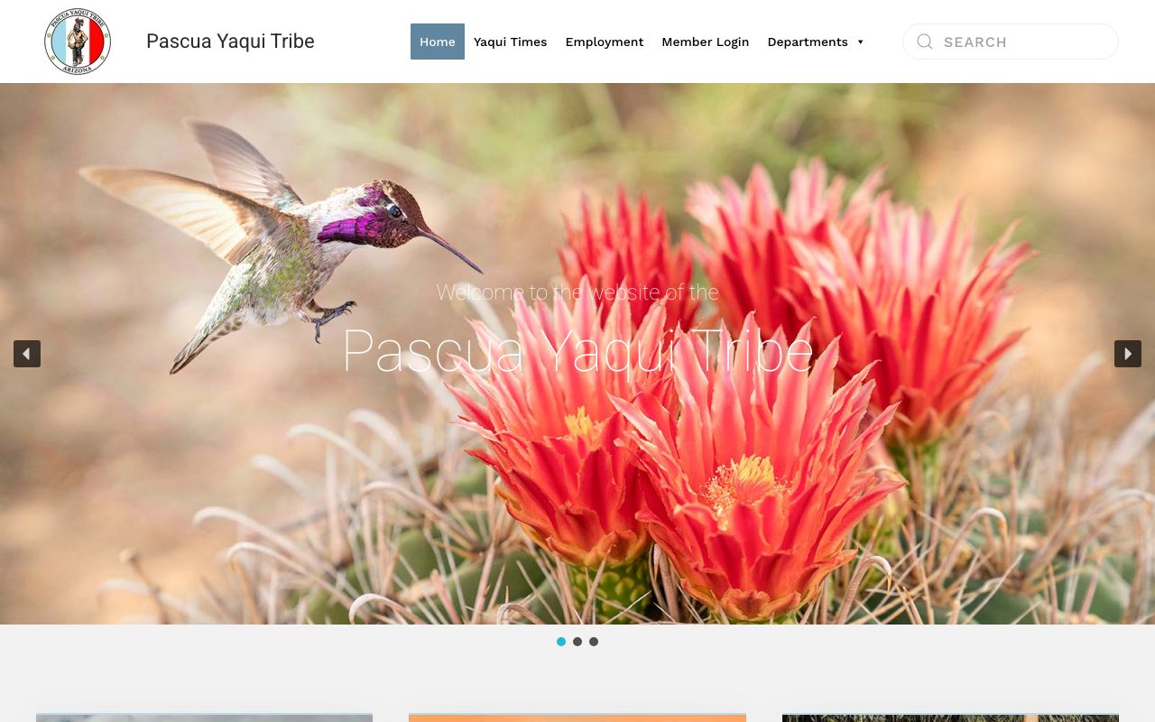 Pascua Yaqui Wellness Center