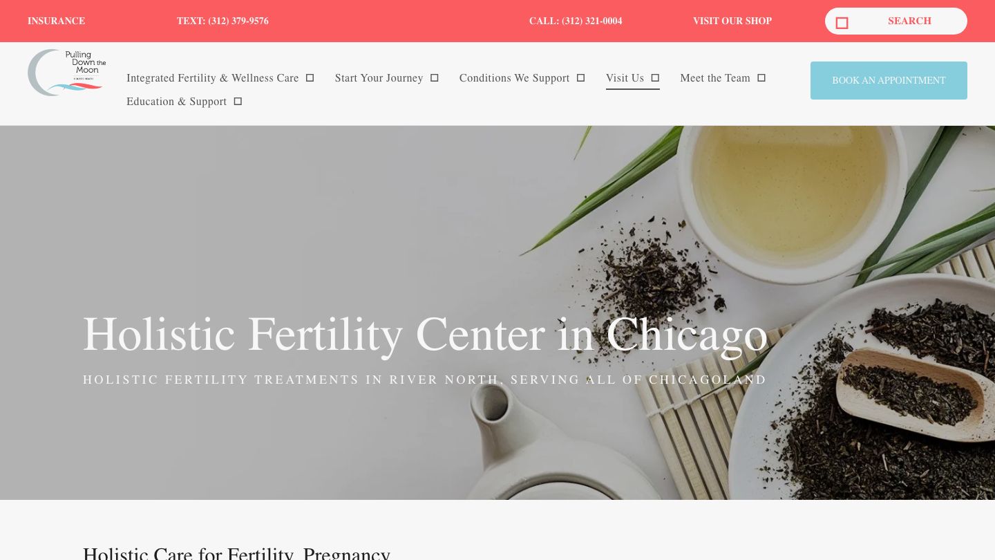 Pulling Down the Moon - Chicago