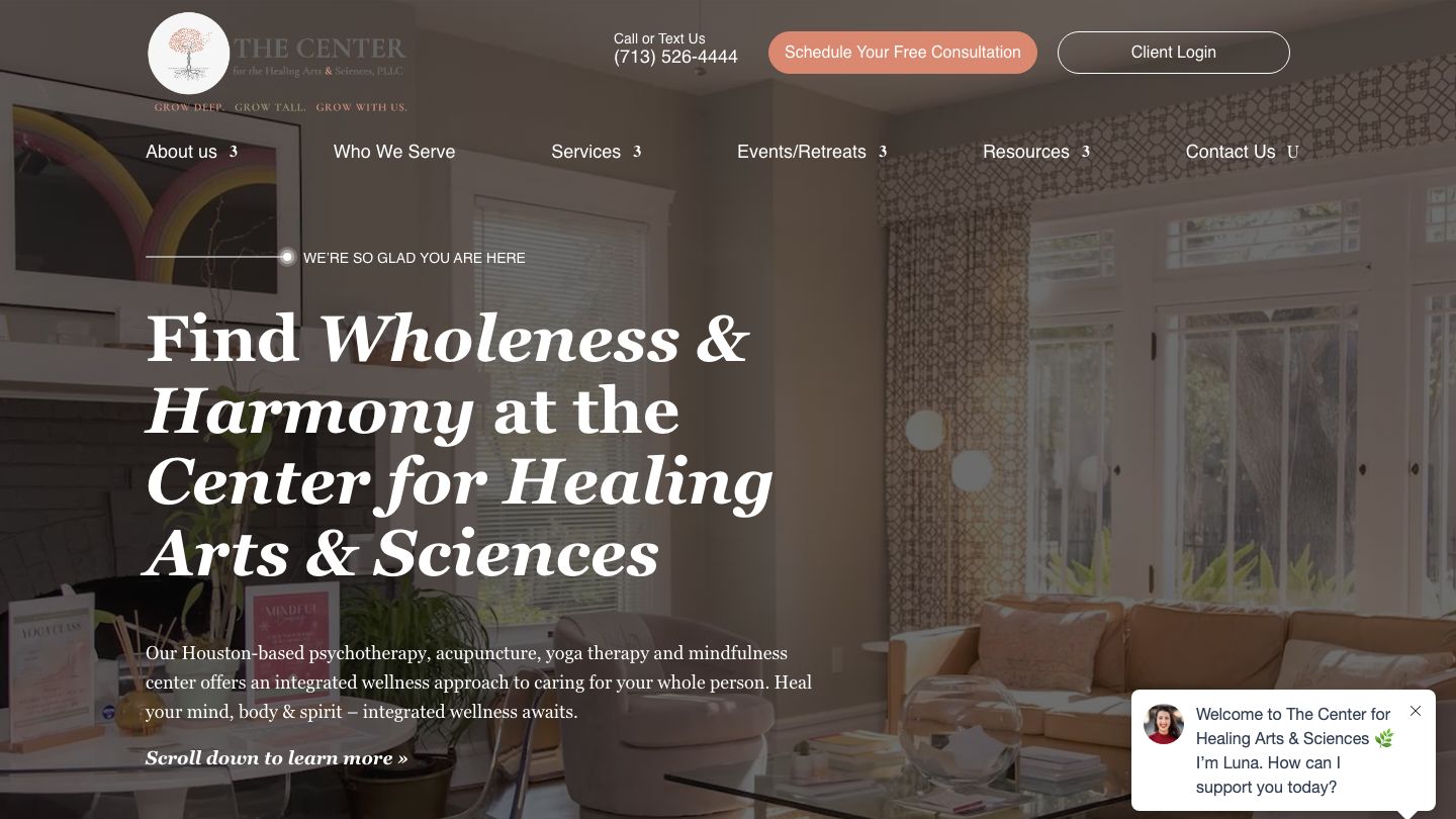 The Center for Healing Arts & Sciences