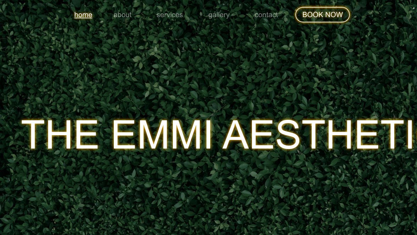 The Emmi Aesthetic Mobile Botox & IV Therapy Boston