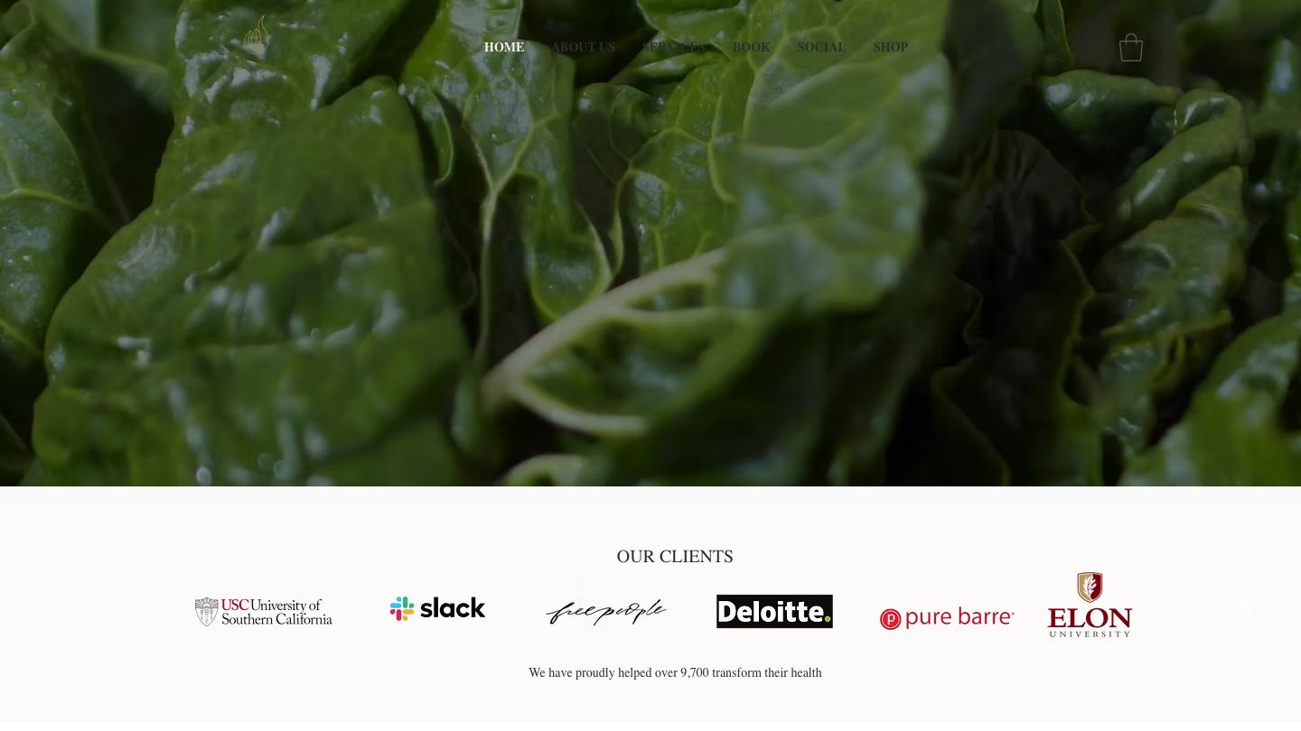 The Living Fuel - Wellness Coaching Business