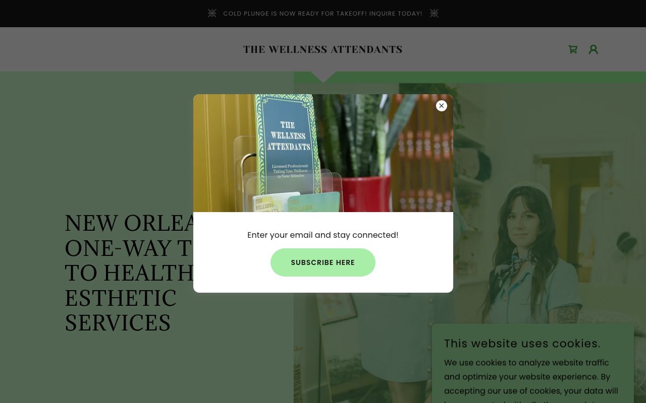 The Wellness Attendants