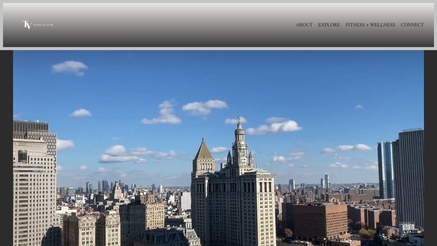 Tribeca View