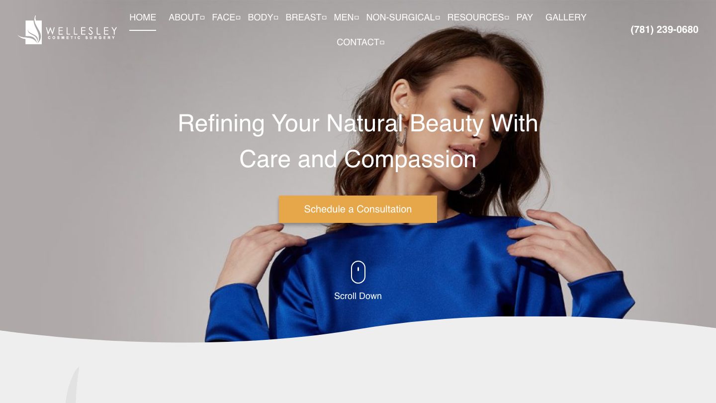 Wellesley Cosmetic Surgery - Boston