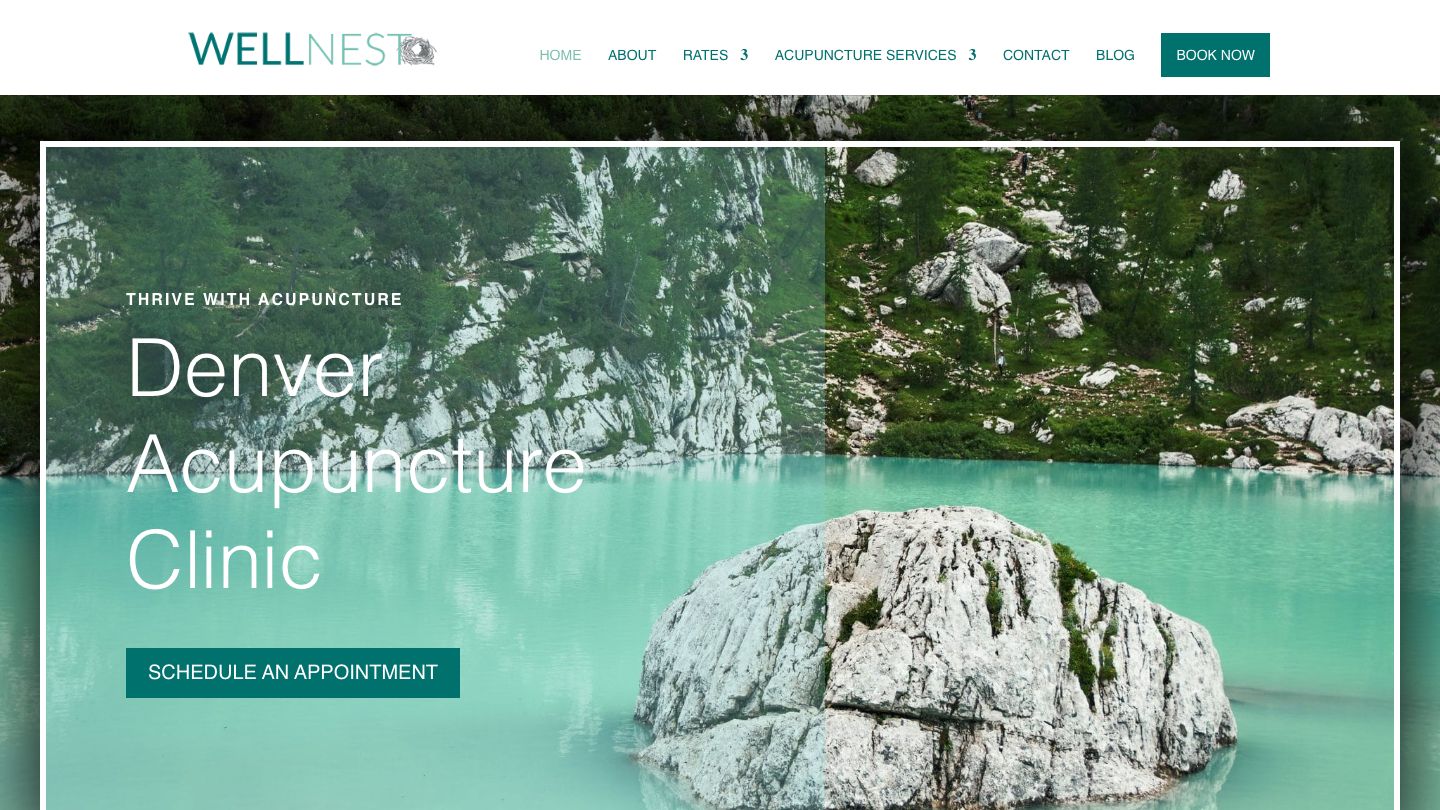 Wellnest Acupuncture + Holistic Medicine